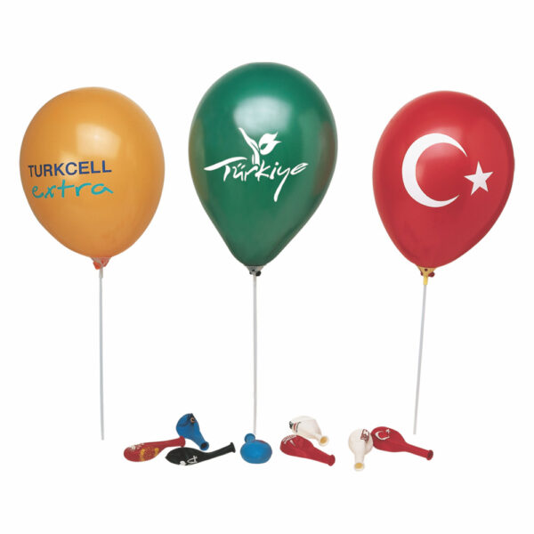 13690 Balon