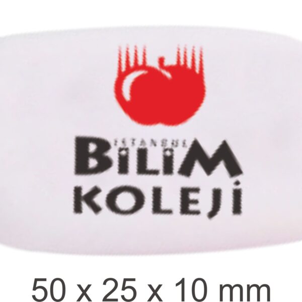 2255 Silgi