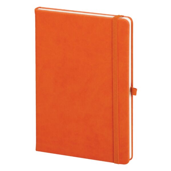 6056TRN Tarihsiz Defter